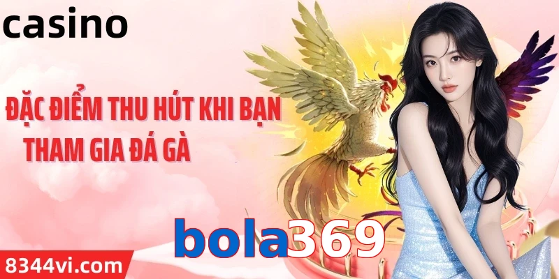 bola369